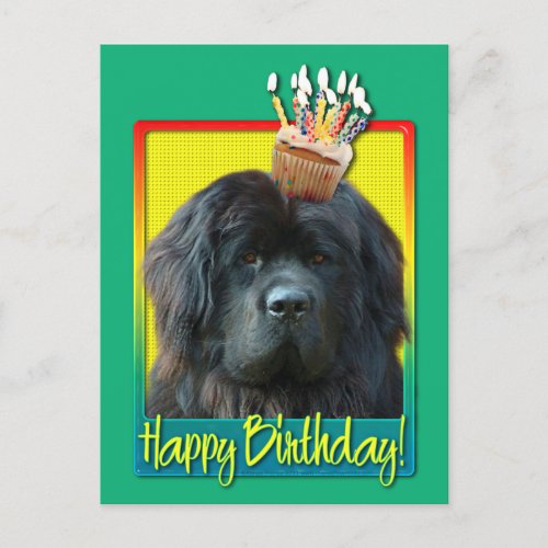 Birthday Cupcake _ Newfoundland Postcard