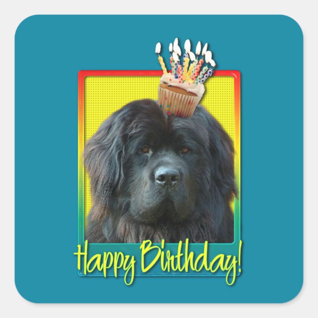 Birthday Cupcake - Newfoundland Square Sticker (Front)