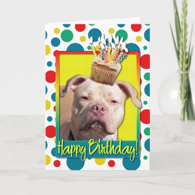 Birthday Cupcake - Pitbull - Jersey Girl Card (Front)