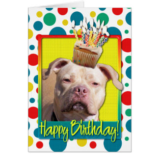 Pitbull Birthday Cards | Zazzle