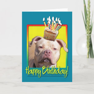Birthday Cupcake - Pitbull - Jersey Girl Card