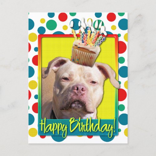 Birthday Cupcake _ Pitbull _ Jersey Girl Postcard