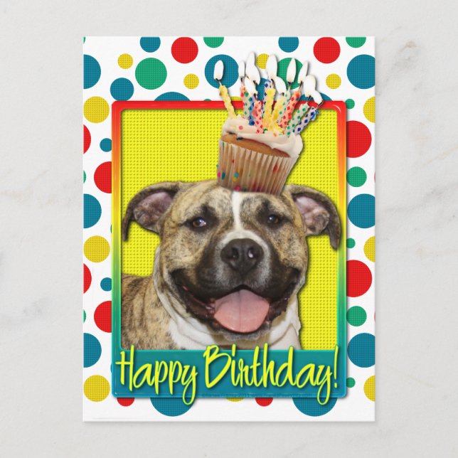Birthday Cupcake - Pitbull - Tigger Postcard (Front)