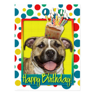 Pitbull Birthday Cards | Zazzle