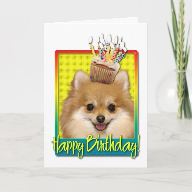 Birthday Cupcake - Pomeranian Card (Front)