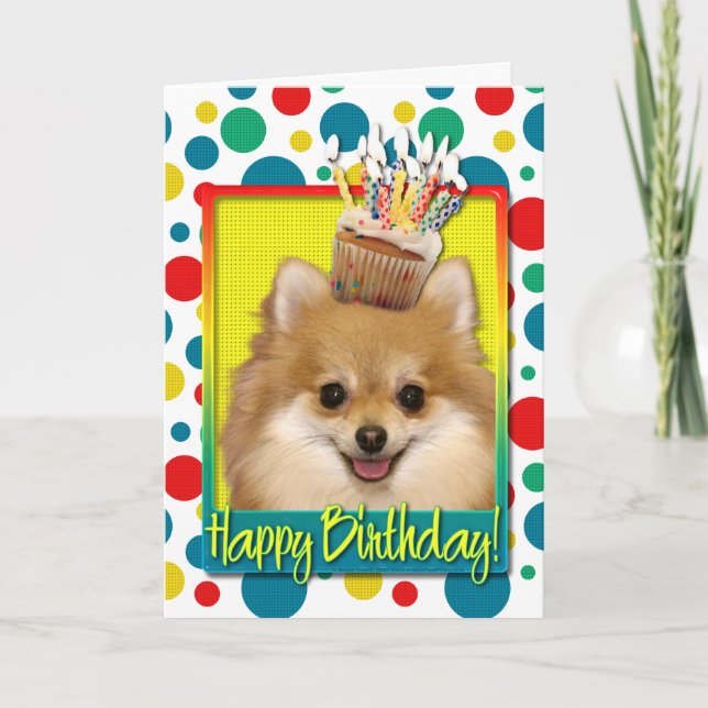 Birthday Cupcake - Pomeranian Card (Front)