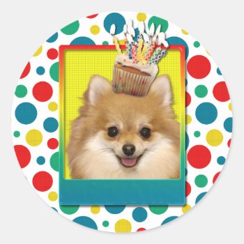 Birthday Cupcake - Pomeranian Classic Round Sticker by FrankzPawPrintz at Zazzle