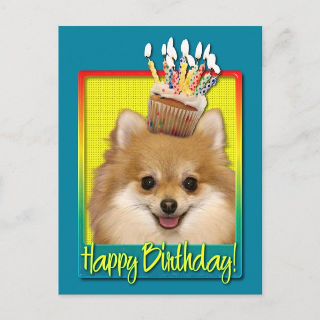 Birthday Cupcake Pomeranian Postcard (Front)