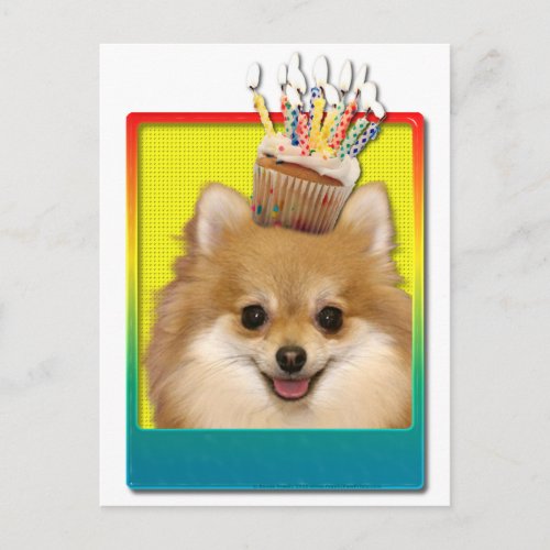 Birthday Cupcake _ Pomeranian Postcard