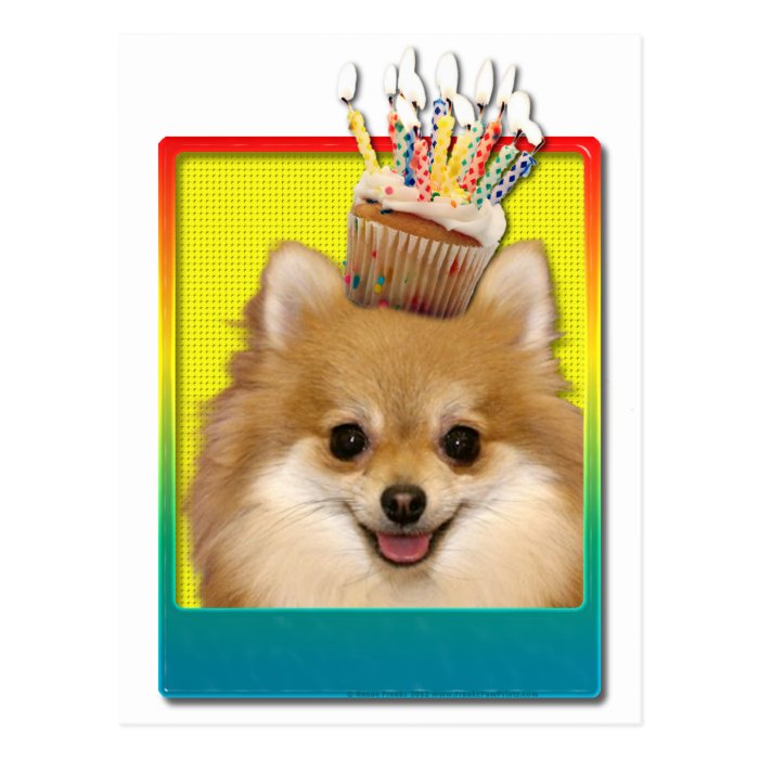 Birthday Cupcake   Pomeranian Postcard