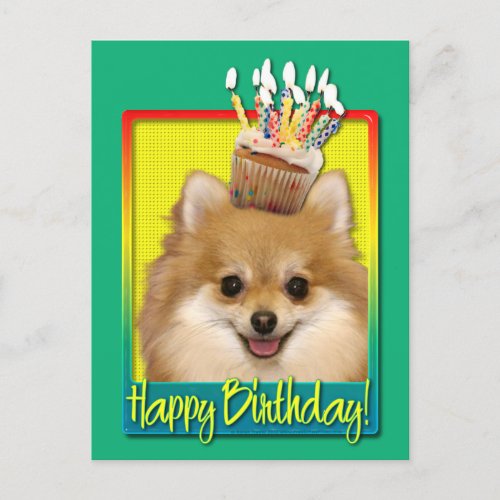 Birthday Cupcake Pomeranian Postcard