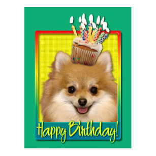 Pomeranian Happy Birthday Cards - Greeting & Photo Cards | Zazzle