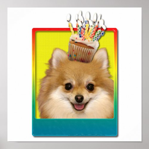 Birthday Cupcake _ Pomeranian Poster
