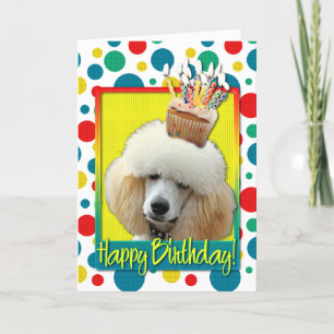 Birthday Cupcake - Poodle - Apricot Card