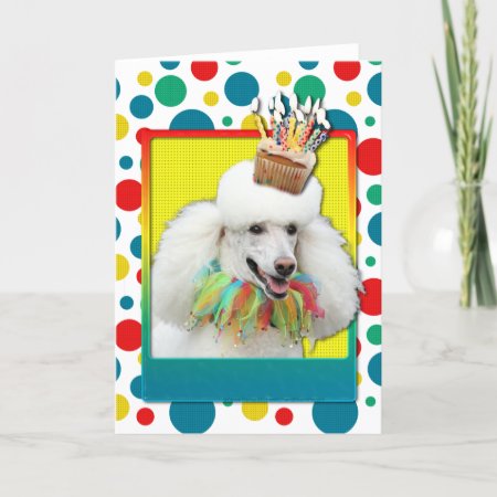 Birthday Cupcake - Poodle - White Card