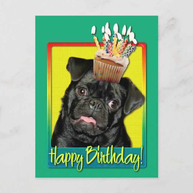 Birthday Cupcake - Pug - Ruffy Postcard (Front)