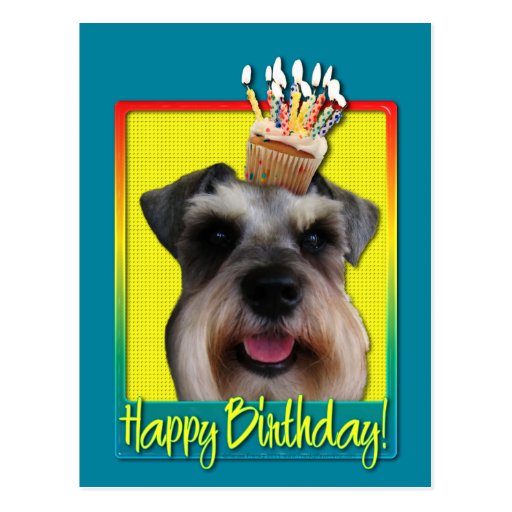 Birthday Cupcake - Schnauzer Postcard | Zazzle