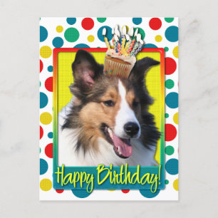 Birthday Cupcake - Sheltie Postcard