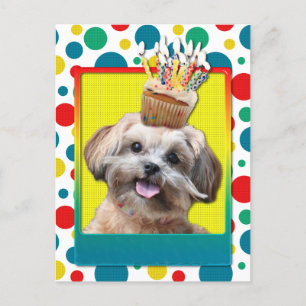 Birthday Cupcake - ShihPoo - Maggie Postcard