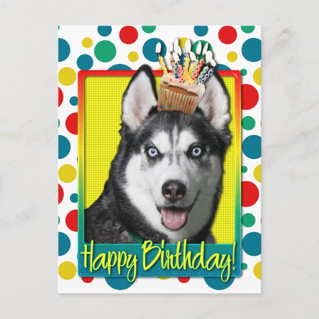 Birthday Cupcake - Siberian Husky Postcard (Front)