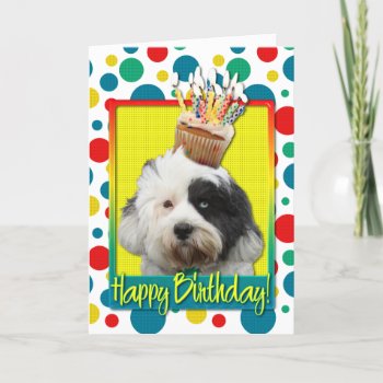 Birthday Cupcake - Tibetan Terrier Card by FrankzPawPrintz at Zazzle