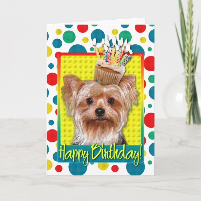 Birthday Cupcake - Yorkshire Terrier Card (Front)