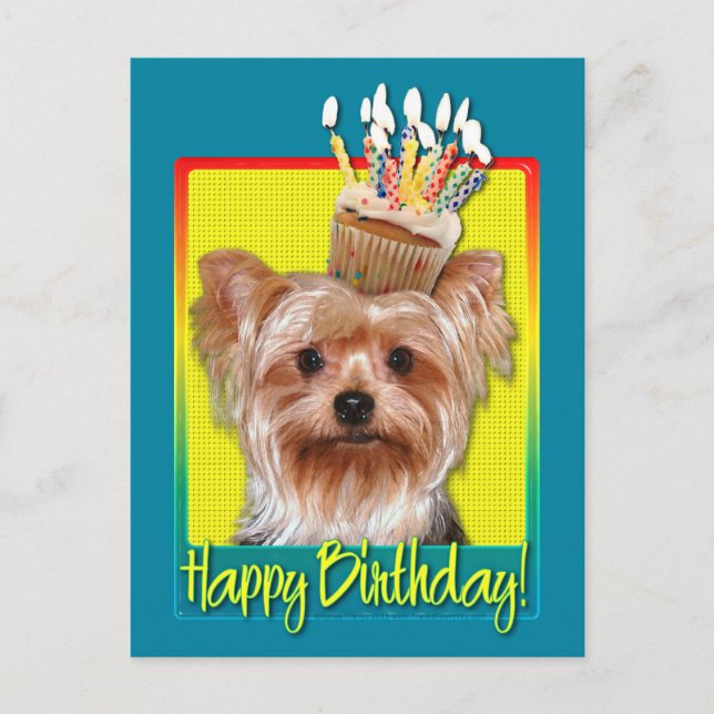 Birthday Cupcake - Yorkshire Terrier Postcard (Front)