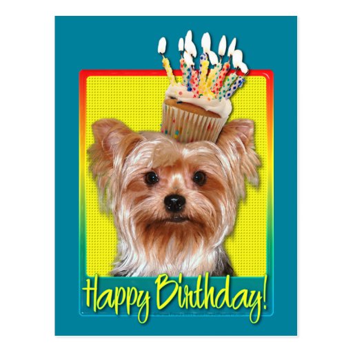 Birthday Cupcake - Yorkshire Terrier Postcard | Zazzle