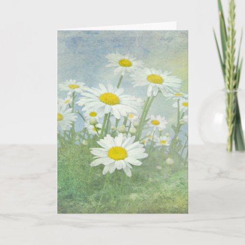 Birthday Daisy Field  Card