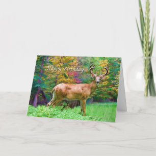 Birthday, Deer in the Woods Card