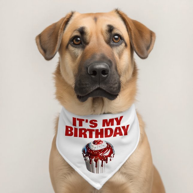 Birthday dog cupcake celebration "happy birthday"  pet bandana collar (Dog 2)