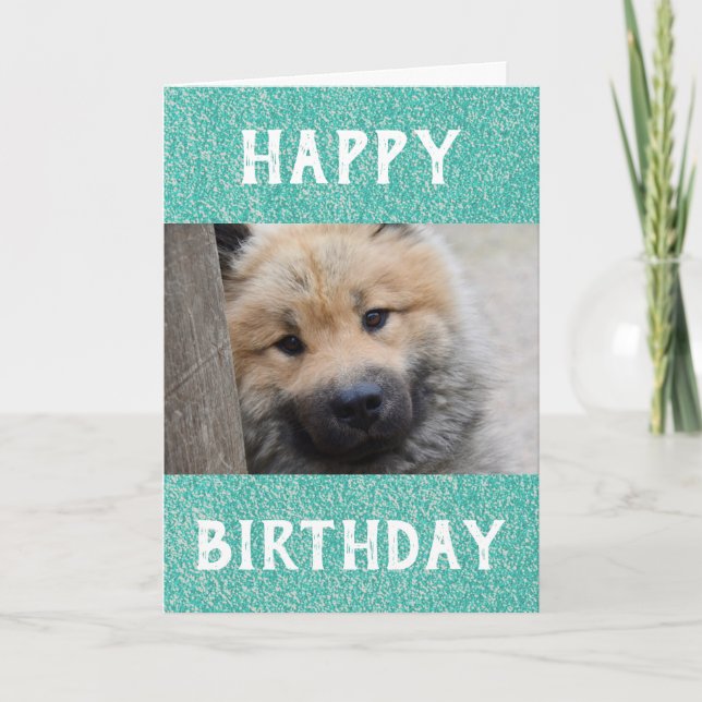 Birthday Dog Dad World's Best Ever Pet Photo Card (Front)