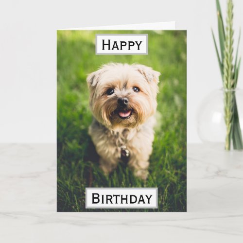 Birthday Dog Dad Worlds Best Ever Pet Photo Card