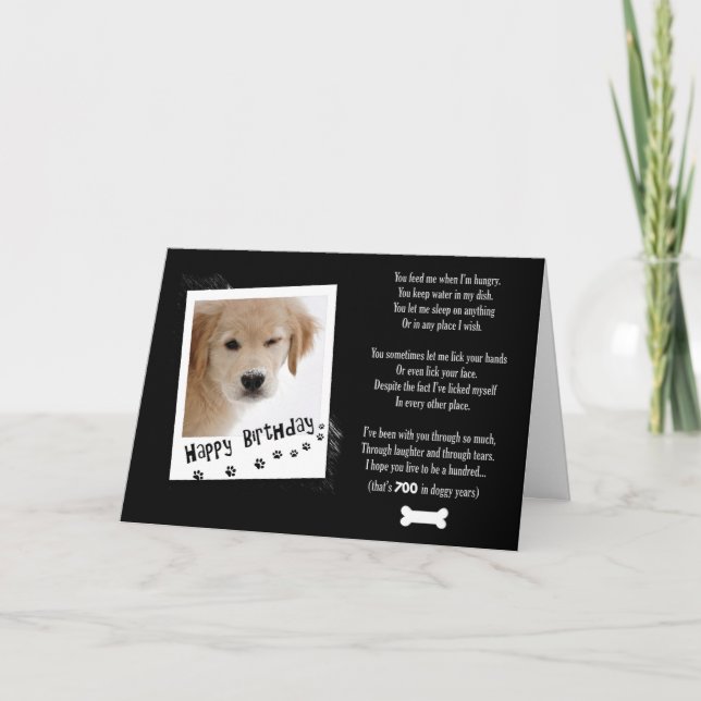 Birthday Dog Humor Card (Front)