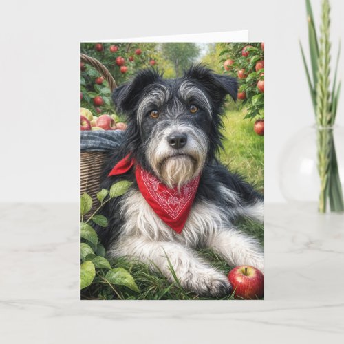 Birthday Dog in an Apple Orchard Card