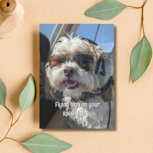 Birthday Dog Pilot Aviator Sunglasses Plane Funny Card