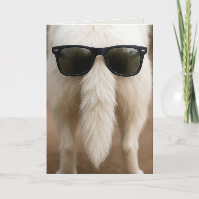 Birthday Dog Tail with Sunglasses  Card (Front)