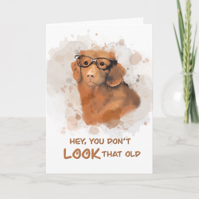 Birthday Dog You Don't LOOK old Card (Front)