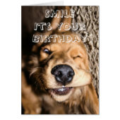 Birthday doggy greeting card (Front)