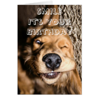 Birthday doggy greeting card