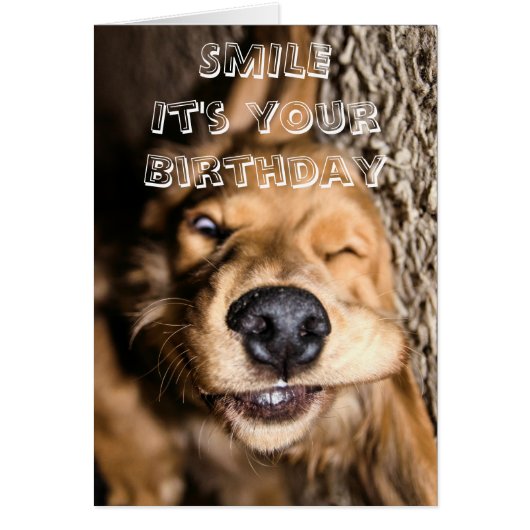 Birthday doggy greeting card (Front)