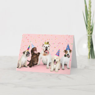 Birthday Dogs Card