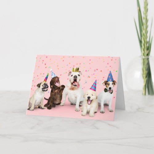 Birthday Dogs Card