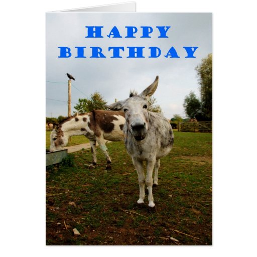 Birthday Donkey Card | Zazzle