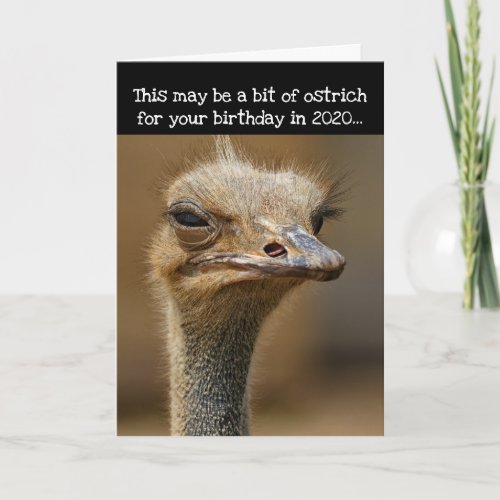 Birthday During 2020 Pandemic_ Funny Ostrich Card