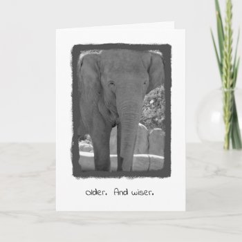 Birthday Elephant Card by DovetailDesigns at Zazzle