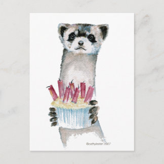 Birthday Ferret Postcard