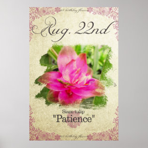 Birthday flowers on August 22nd "Siam tulip" Poster