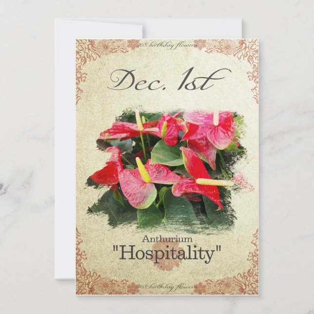Birthday flowers on December 1st "Anthurium" Card (Front)