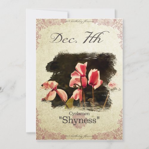 Birthday flowers on December 7th Cyclamen Card